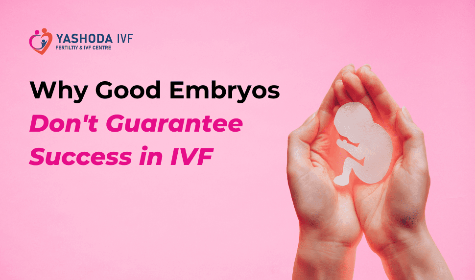 Why good embryos don’t guarantee success in IVF