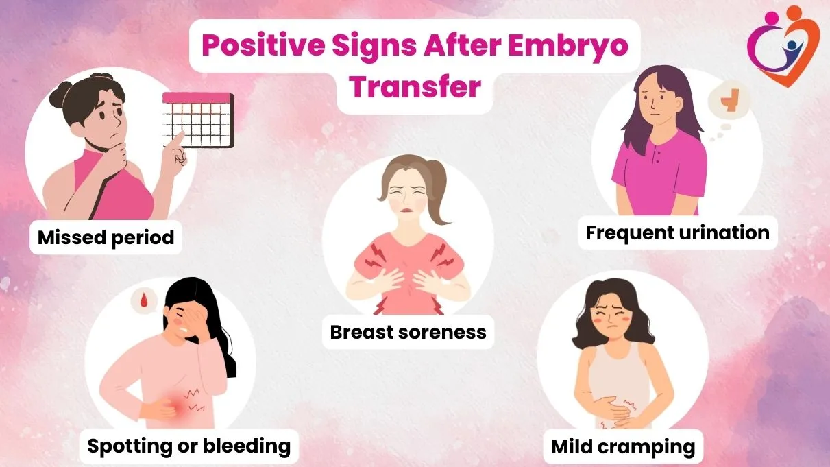 Positive Signs After Embryo Transfer - IVF